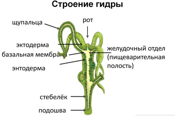 Kraken официальная ссылка tor