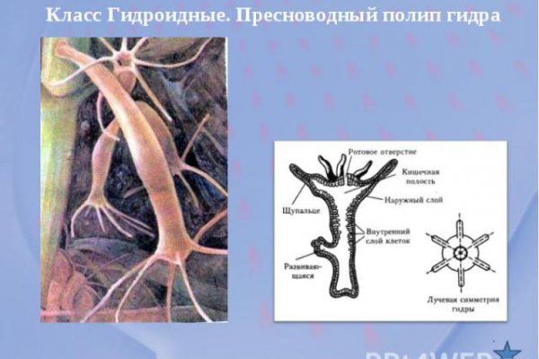 Можно вывести деньги с кракена