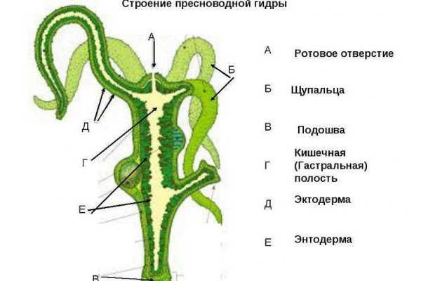 Кракен сайт 1kraken me вход